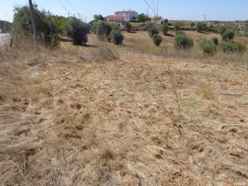 Terreno para Venda em São João Baptista e Santa Maria dos Olivais
