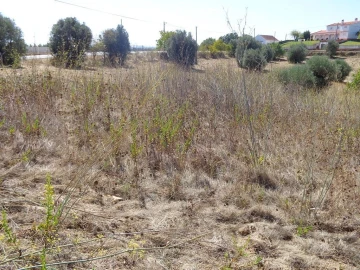 Terreno para Venda em São João Baptista e Santa Maria dos Olivais