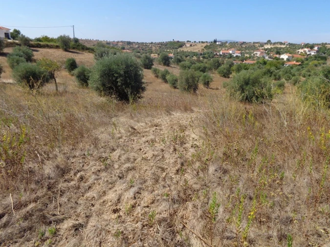 Terreno para Venda em São João Baptista e Santa Maria dos Olivais Foto 2