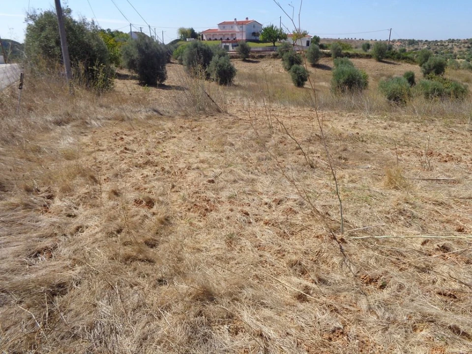 Terreno para Venda em São João Baptista e Santa Maria dos Olivais Foto 1