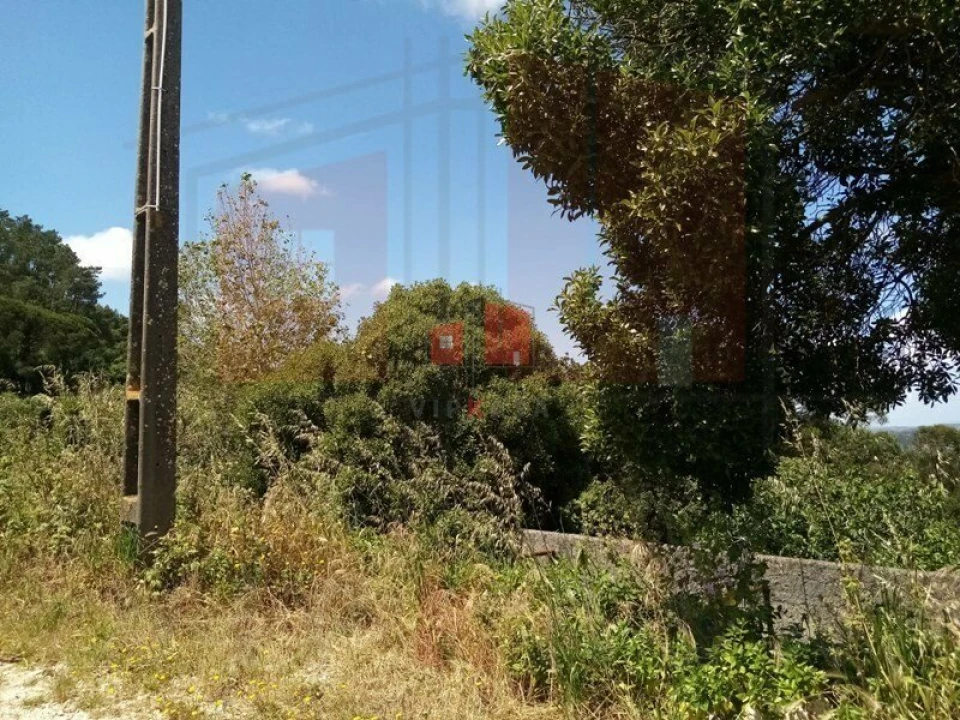 Terreno para Venda em Lousa Foto 3