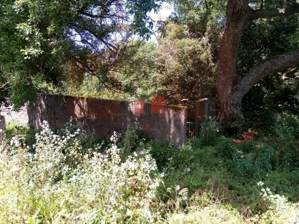 Terreno para Venda em Lousa Foto 2