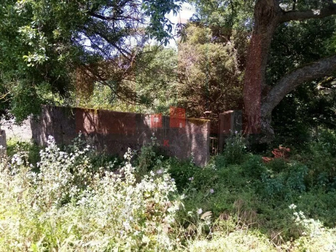 Terreno para Venda em Lousa Foto 2