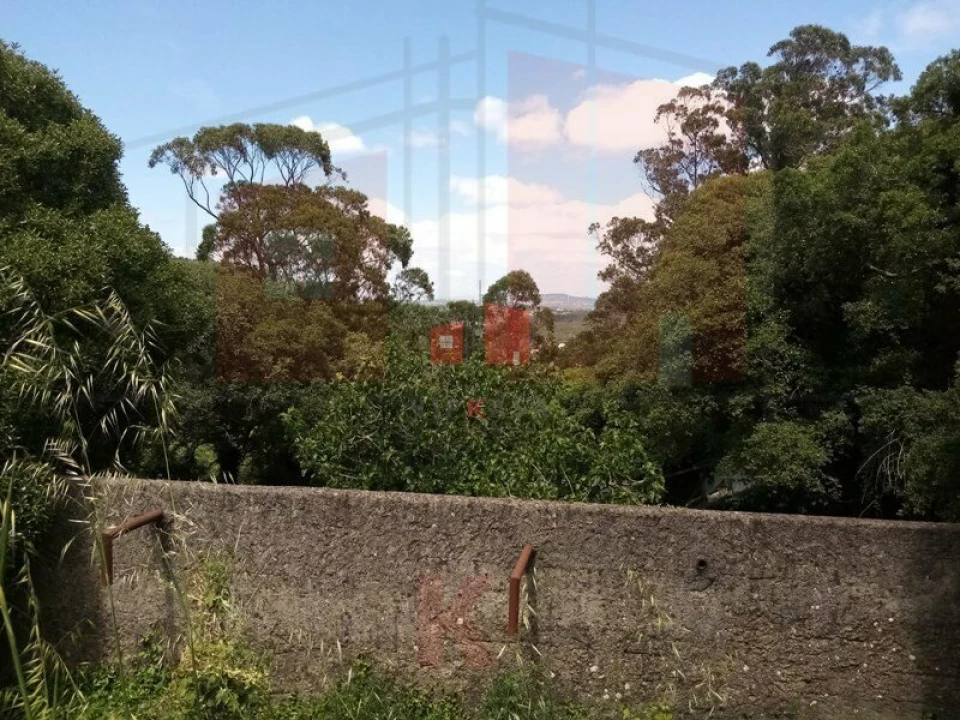 Terreno para Venda em Lousa Foto 1