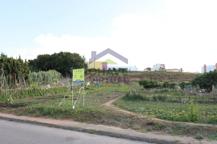 Terreno para Venda em Bombarral e Vale Covo Foto 6