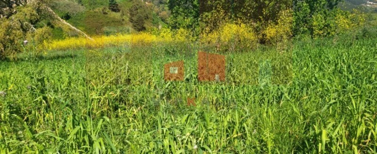 Terreno para Venda em Milharado Foto 3