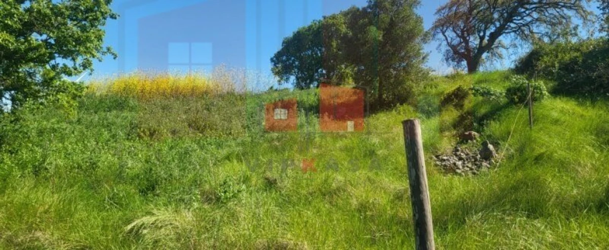 Terreno para Venda em Milharado Foto 8