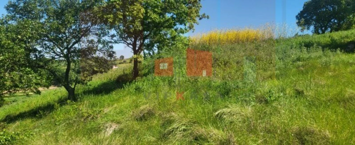 Terreno para Venda em Milharado Foto 9