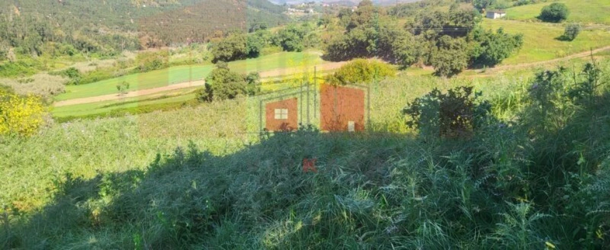 Terreno para Venda em Milharado Foto 2