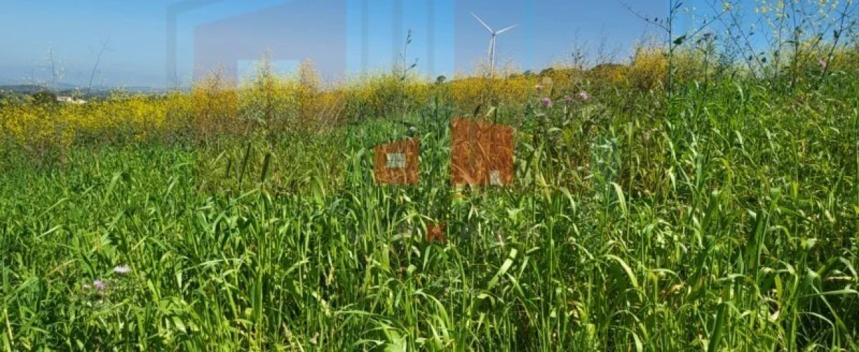 Terreno para Venda em Milharado Foto 7