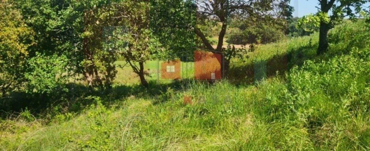 Terreno para Venda em Milharado Foto 10