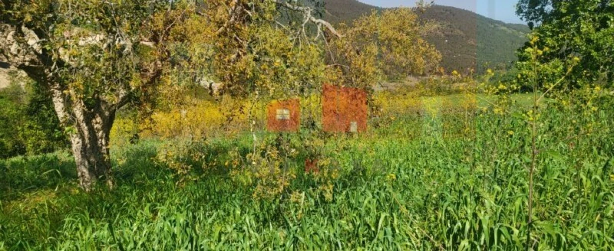 Terreno para Venda em Milharado Foto 1