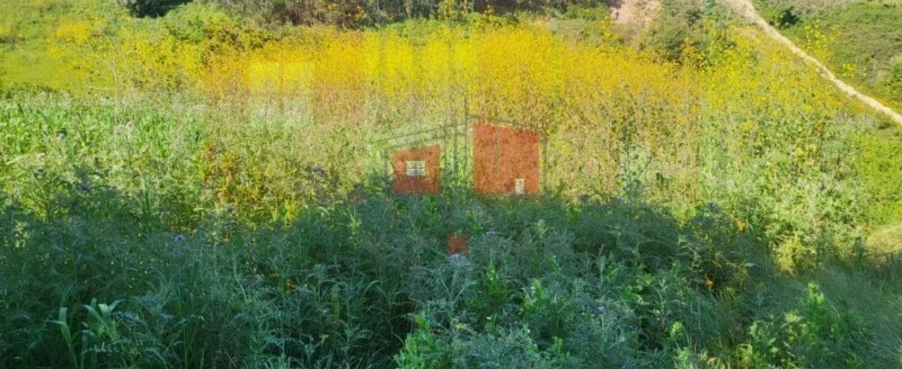 Terreno para Venda em Milharado Foto 6