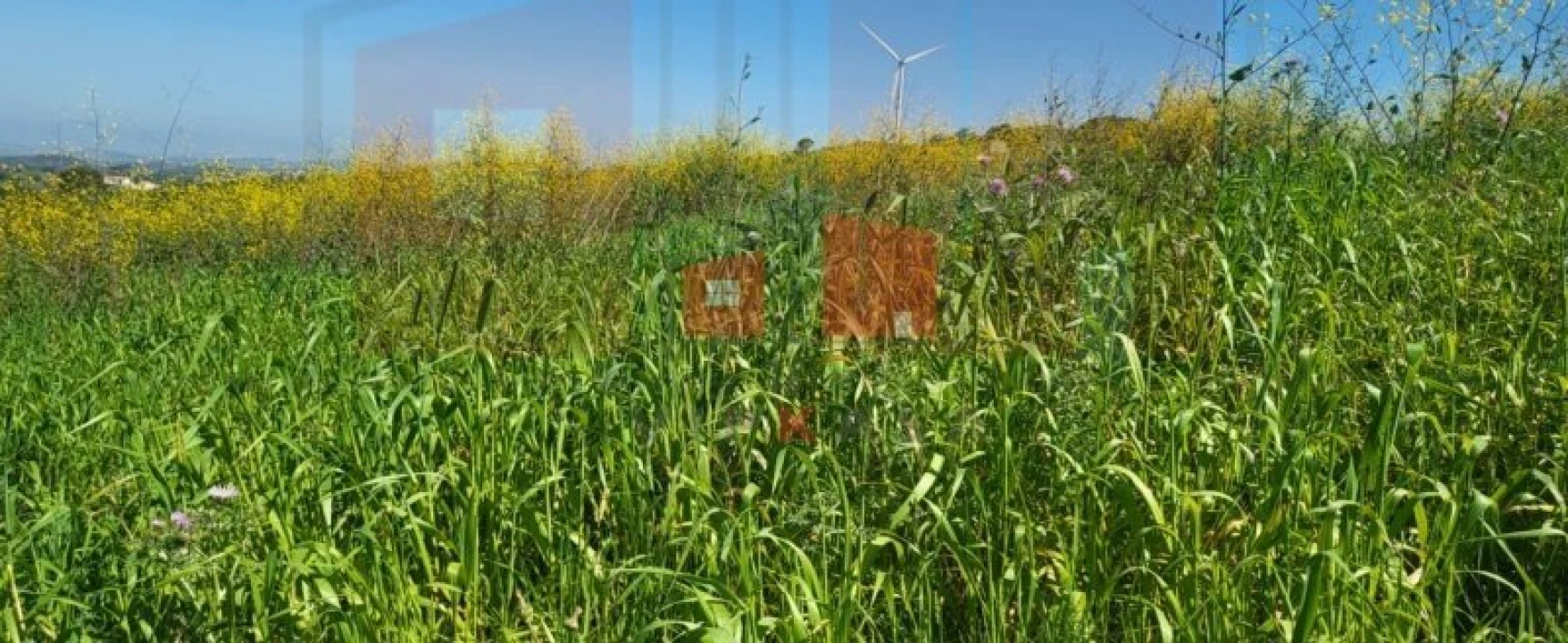Terreno para Venda em Milharado Foto 7