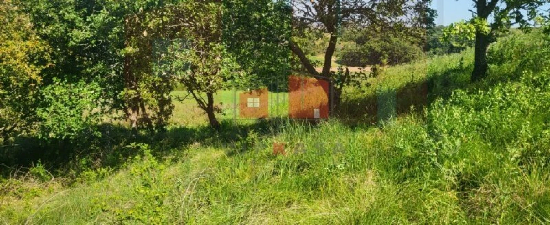 Terreno para Venda em Milharado Foto 10