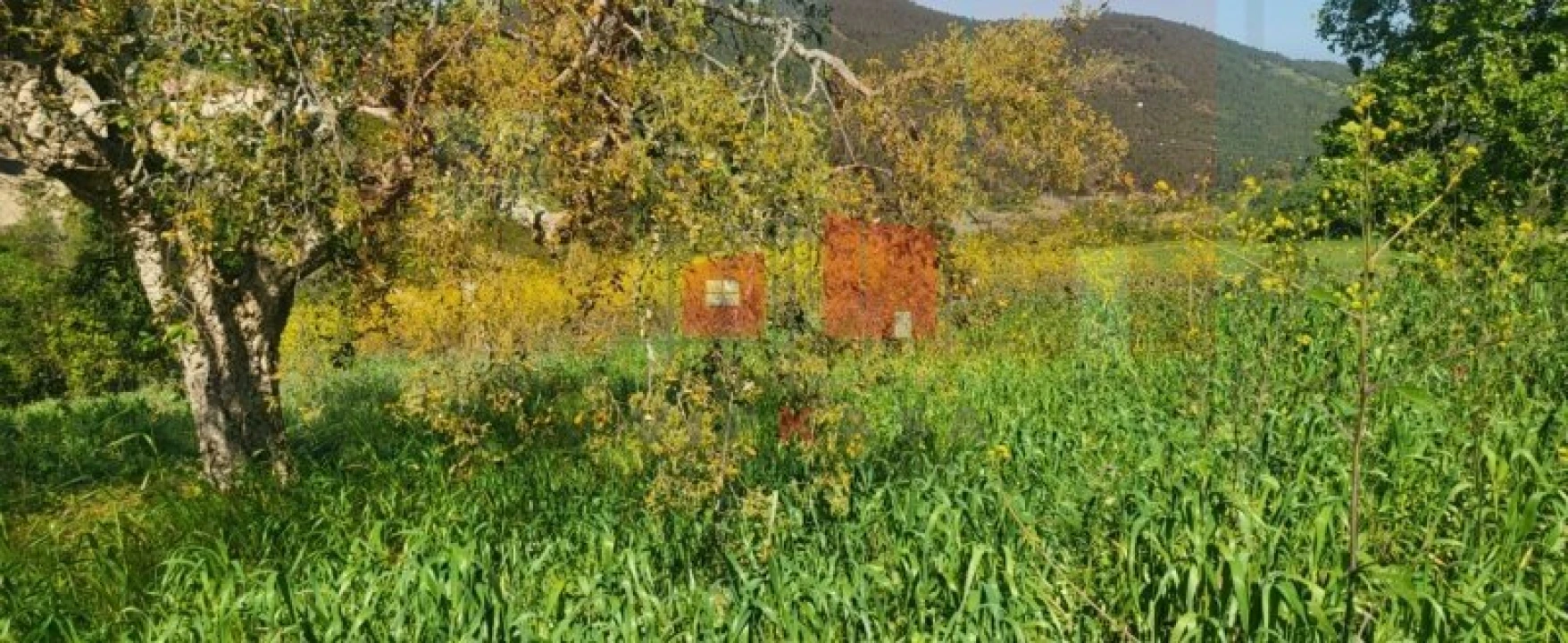 Terreno para Venda em Milharado Foto 1