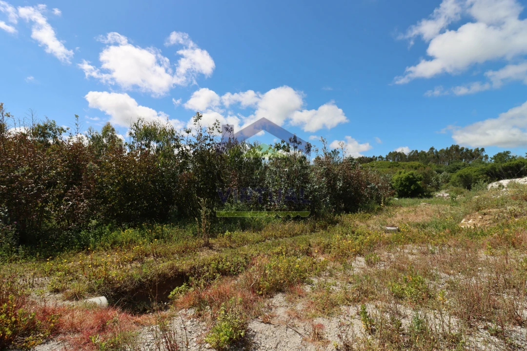 Terreno para Venda em São Bartolomeu dos Galegos e Moledo Foto 14