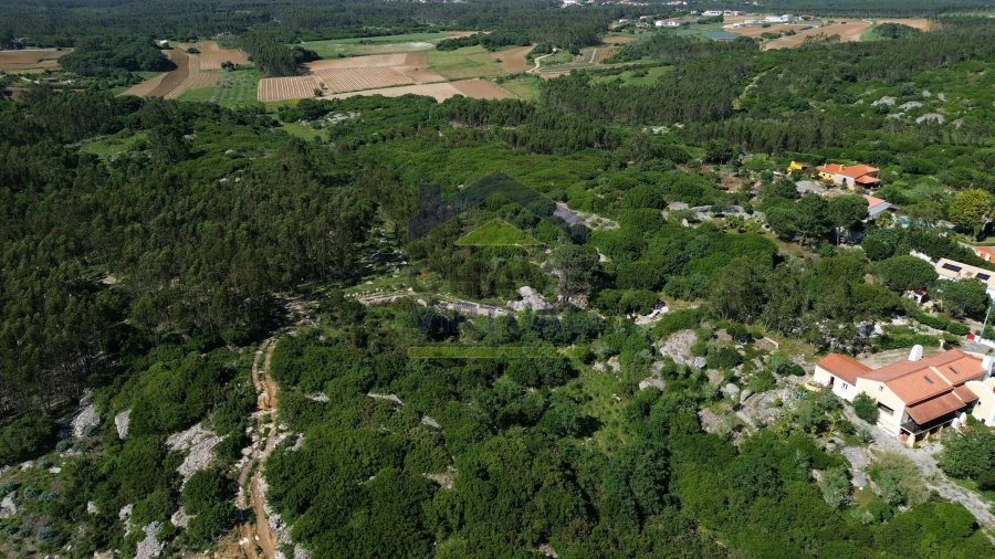 Terreno para Venda em São Bartolomeu dos Galegos e Moledo Foto 4