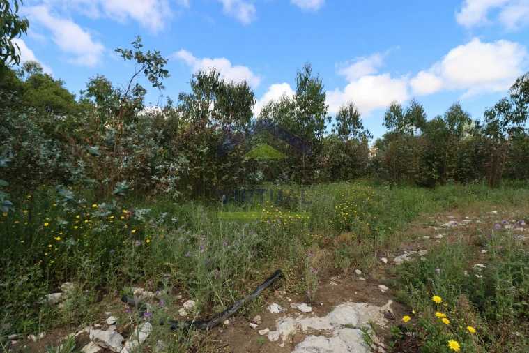 Terreno para Venda em São Bartolomeu dos Galegos e Moledo Foto 20