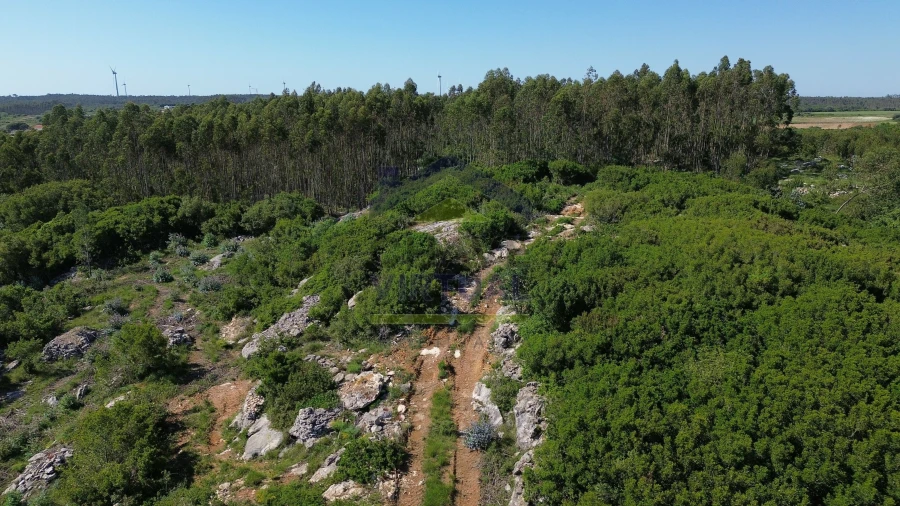 Terreno para Venda em São Bartolomeu dos Galegos e Moledo Foto 12