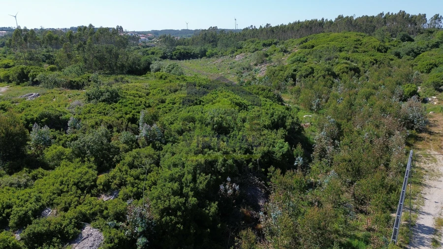 Terreno para Venda em São Bartolomeu dos Galegos e Moledo Foto 8