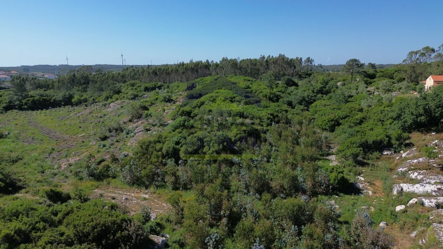 Terreno para Venda em São Bartolomeu dos Galegos e Moledo Foto 10