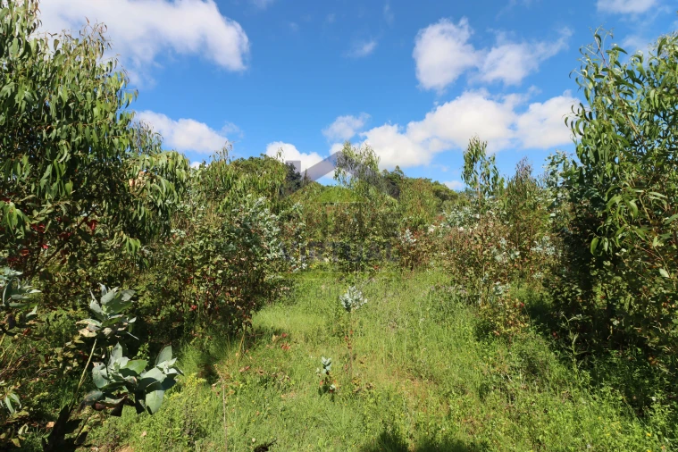Terreno para Venda em São Bartolomeu dos Galegos e Moledo Foto 19