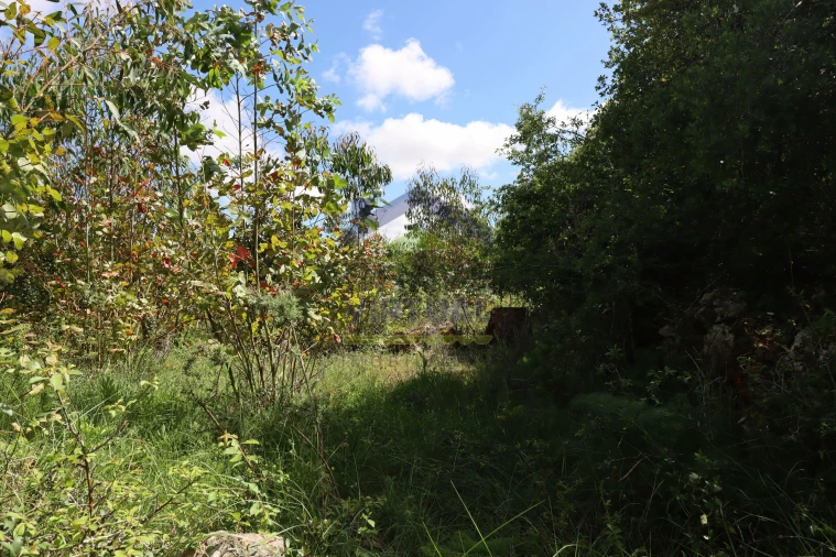 Terreno para Venda em São Bartolomeu dos Galegos e Moledo Foto 16