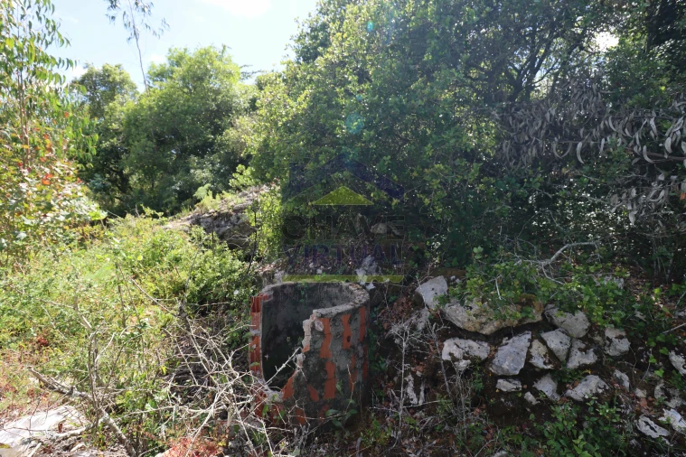 Terreno para Venda em São Bartolomeu dos Galegos e Moledo Foto 17