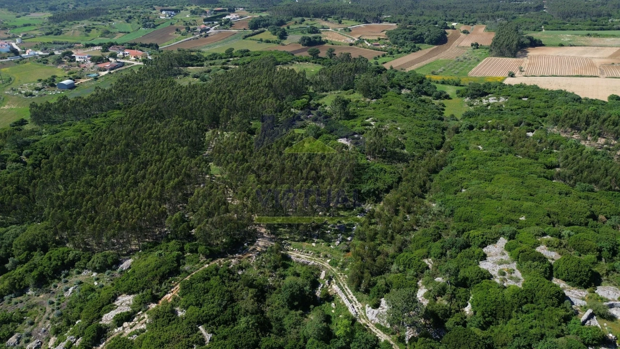 Terreno para Venda em São Bartolomeu dos Galegos e Moledo Foto 3
