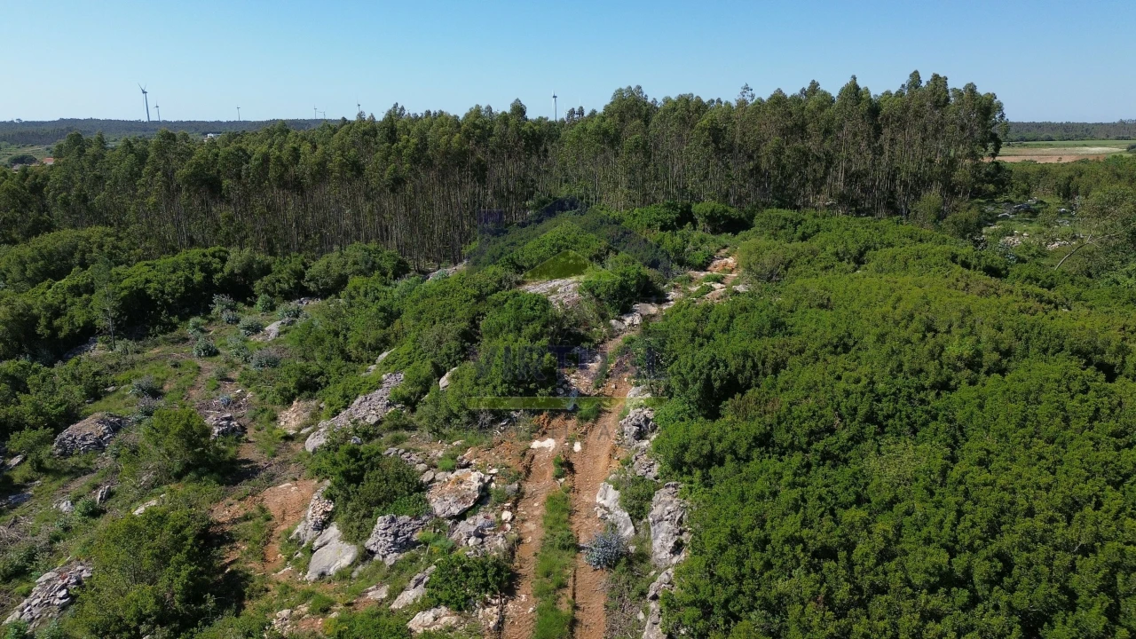 Terreno para Venda em São Bartolomeu dos Galegos e Moledo Foto 12