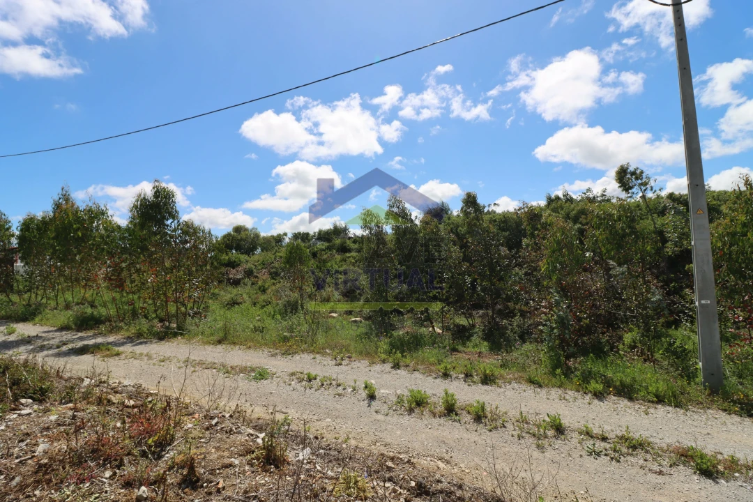 Terreno para Venda em São Bartolomeu dos Galegos e Moledo Foto 15