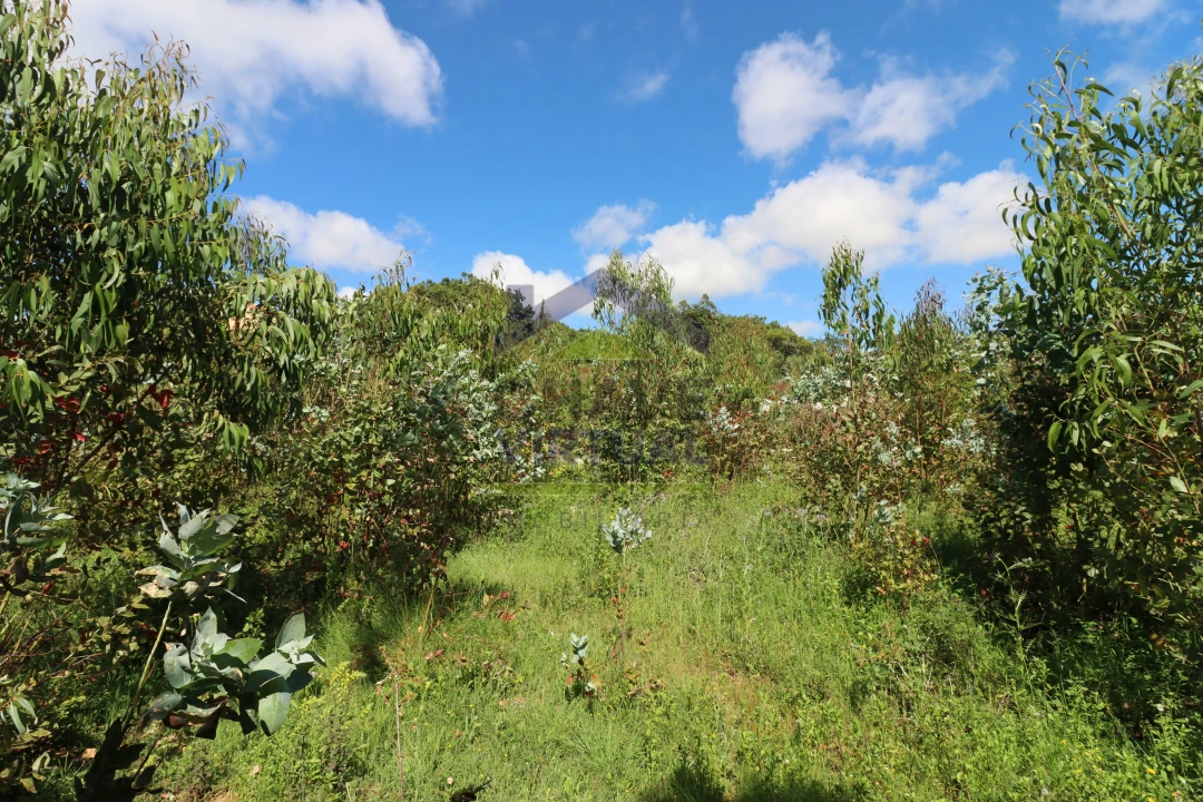 Terreno para Venda em São Bartolomeu dos Galegos e Moledo Foto 19