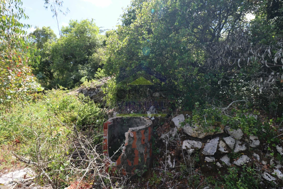 Terreno para Venda em São Bartolomeu dos Galegos e Moledo Foto 17