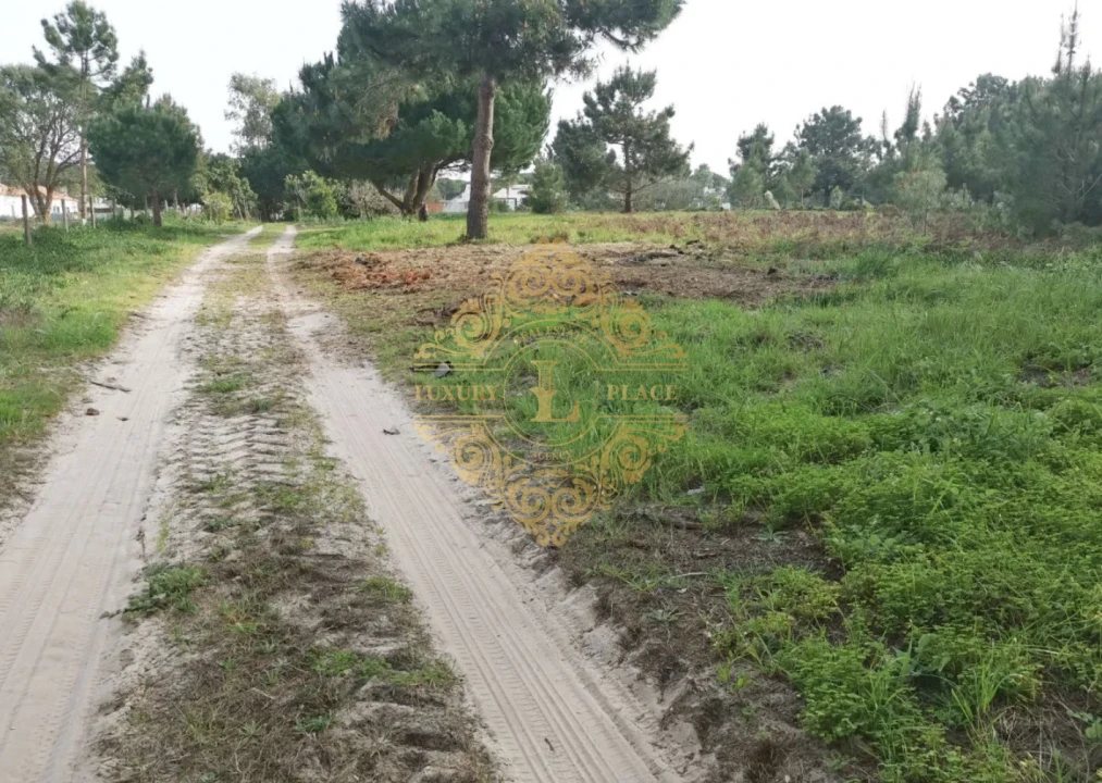 Terreno para Venda em Sesimbra (Castelo) Foto 3