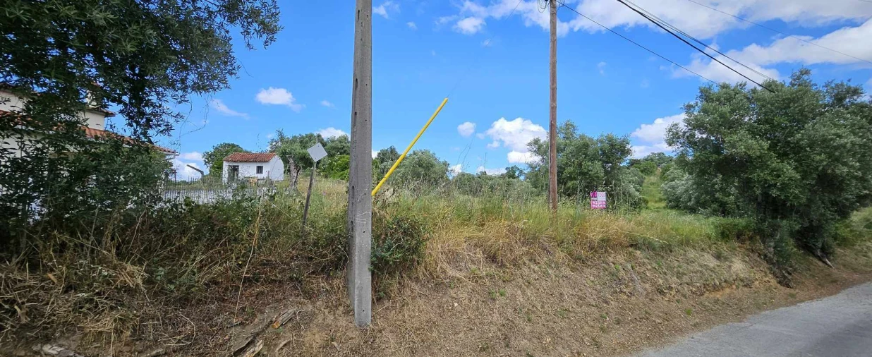 Terreno para Venda em Torres Novas (Santa Maria, Salvador e Santiago) Foto 2