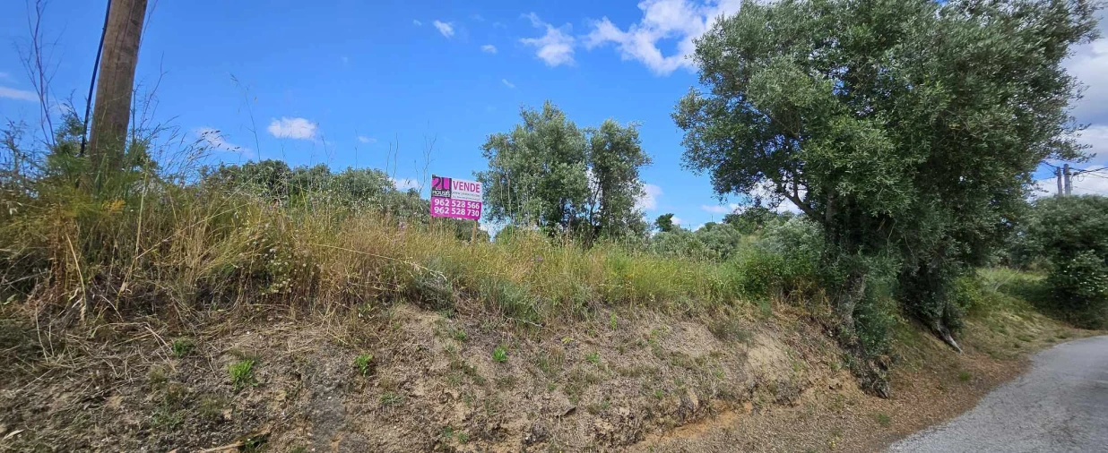 Terreno para Venda em Torres Novas (Santa Maria, Salvador e Santiago) Foto 5