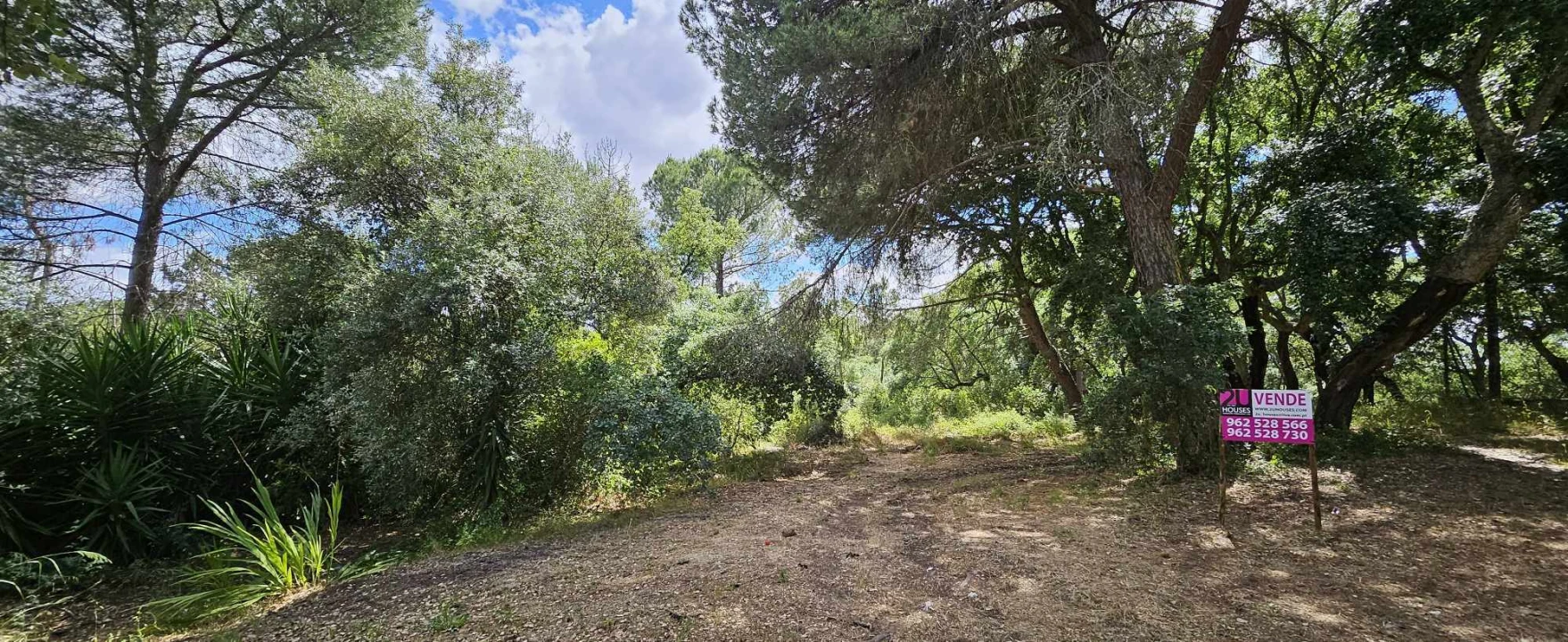 Terreno para Venda em Torres Novas (Santa Maria, Salvador e Santiago) Foto 2