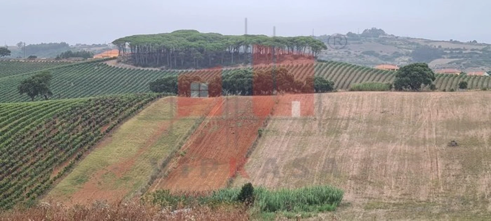 Terreno para Venda em Enxara do Bispo, Gradil e Vila Franca do Rosário Foto 1
