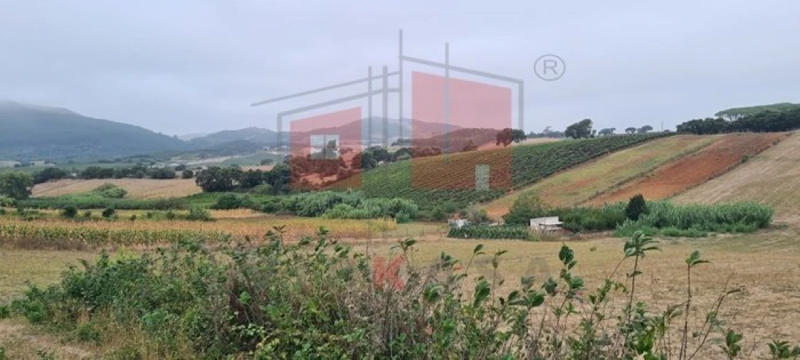 Terreno para Venda em Enxara do Bispo, Gradil e Vila Franca do Rosário Foto 17