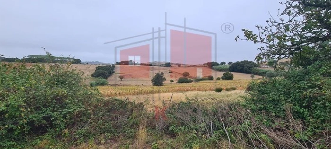 Terreno para Venda em Enxara do Bispo, Gradil e Vila Franca do Rosário Foto 18