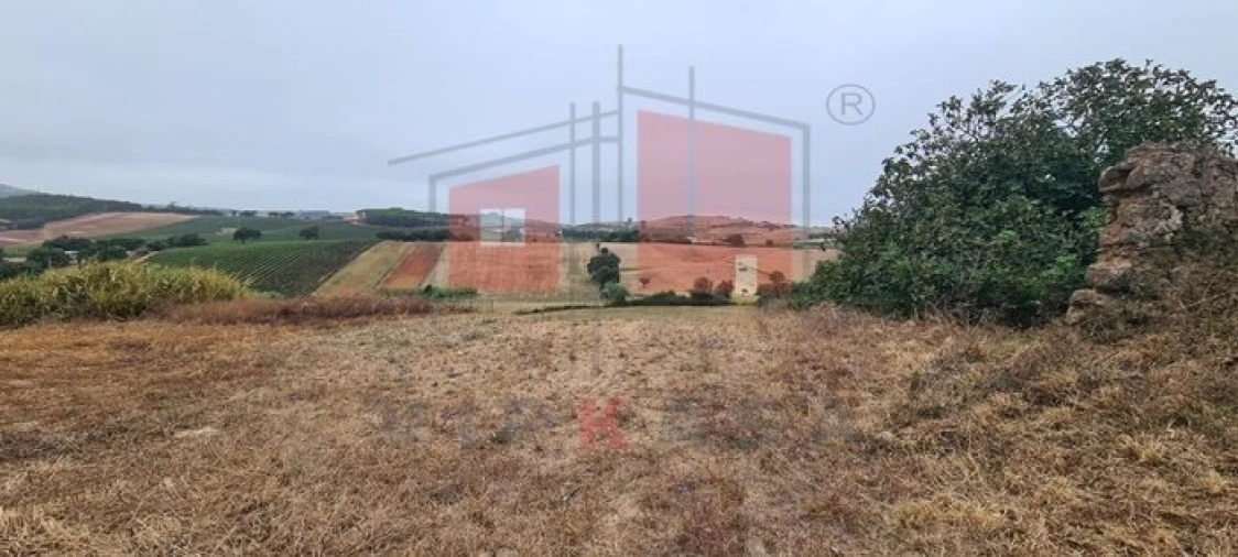 Terreno para Venda em Enxara do Bispo, Gradil e Vila Franca do Rosário Foto 15