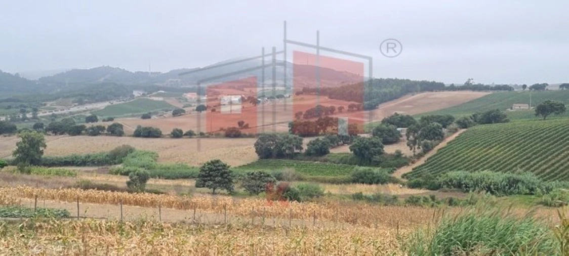 Terreno para Venda em Enxara do Bispo, Gradil e Vila Franca do Rosário Foto 11