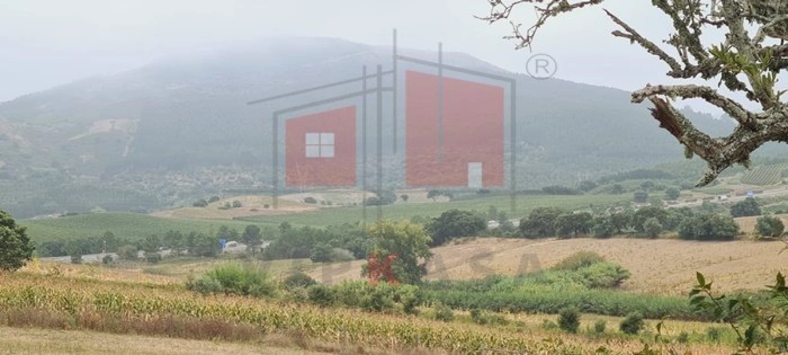 Terreno para Venda em Enxara do Bispo, Gradil e Vila Franca do Rosário Foto 9