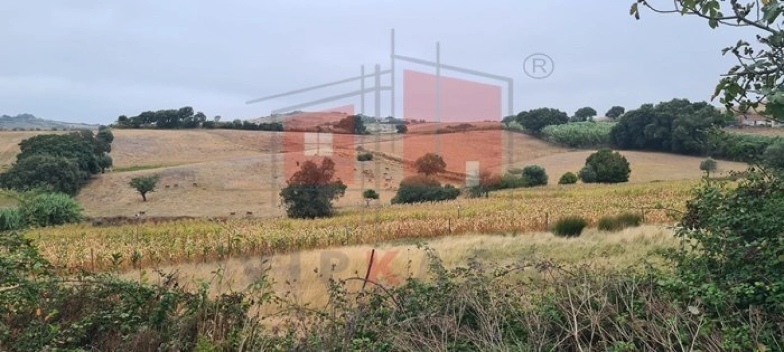 Terreno para Venda em Enxara do Bispo, Gradil e Vila Franca do Rosário Foto 19