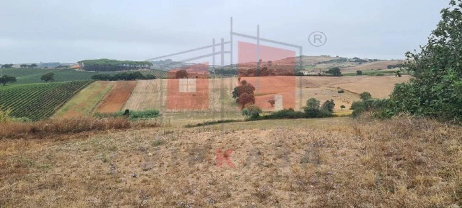 Terreno para Venda em Enxara do Bispo, Gradil e Vila Franca do Rosário Foto 16