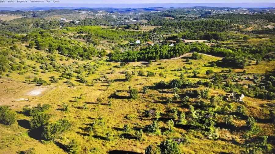 Terreno para Venda em São João Baptista e Santa Maria dos Olivais Foto 8