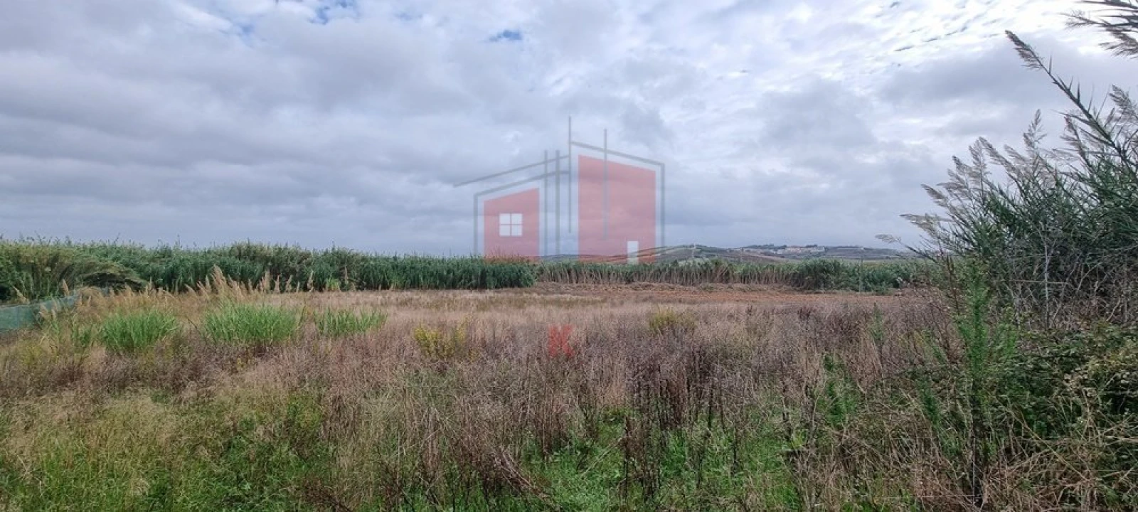 Terreno para Venda em Ventosa Foto 5