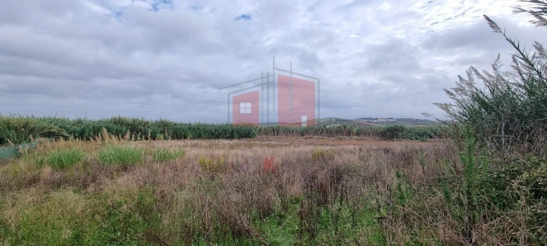 Terreno para Venda em Ventosa Foto 5