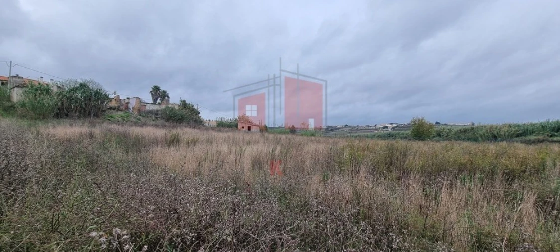 Terreno para Venda em Ventosa Foto 7